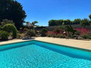 Cottage avec piscine au cœur du Saumur Champigny