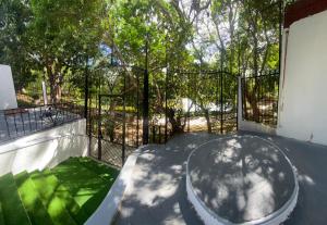 DG Divine Garden Tabasco