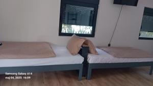 House for us Vinci 1