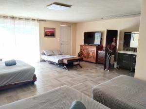 Maisons d'hotes Le Domaine de la plume : photos des chambres