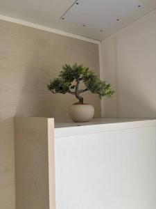 La Parenthèse du Phare