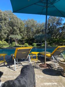 Petite Maison provencale