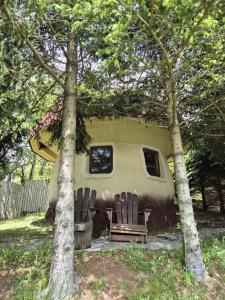 Art Apartments Minic