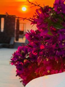 La Ponta Villas & Suites