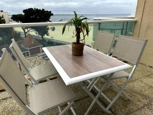 magnifique T3 vue mer et direct plage