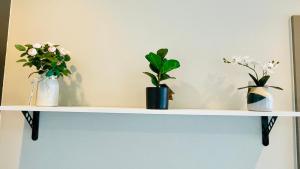 The base Central 343 by Numam