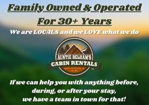 Cute 1 bedroom sleeps 6 with hot tub, pool table, located in between Gatlinburg and Pigeon Forge!