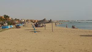 قرية كويس بيتش رأس سدر