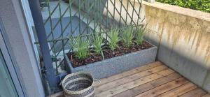 Stylish seaside apartment