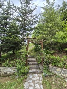 Art Apartments Minic