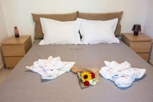 NG Happy Yard Studio