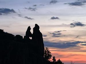 Appartements Appartement vue mer Vulpaghja 01 : Appartement