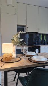 Elite Home 1 Jeżyce- Barańczaka 1