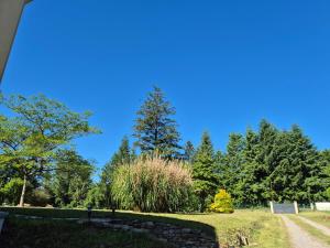 Villas Lapsou : photos des chambres