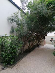 Maisons de vacances Maison La Belle Lorraine : photos des chambres