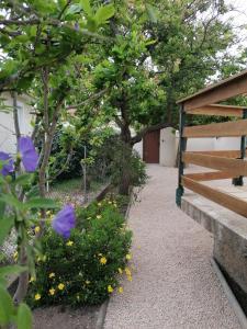 Maisons de vacances Maison La Belle Lorraine : Maison 2 Chambres