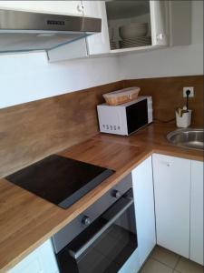 Appartements La mouette rieuse : photos des chambres