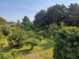 Tropical Garden Faliraki Rhodes