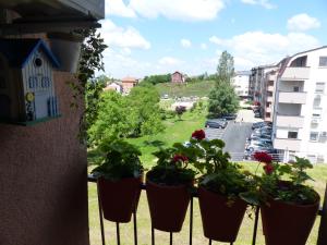 Tackica 13 Apartment