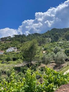 eljos house permet