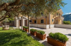 Apartments Los Olivos