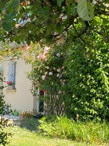 Maisons d'hotes Le Hameau du moulin a vent : photos des chambres