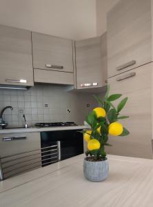 Casa vacanza - Villa Dalila