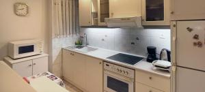 Down Town Flat Apartment