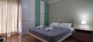 Down Town Flat Apartment