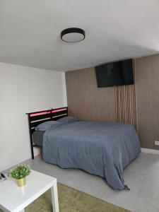 Appartements Grand studio cosy proche Paris : photos des chambres