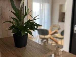 One Bedroom Apartment with Balcony and City View