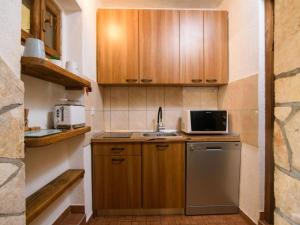 Vila Ive winter spa Podumci