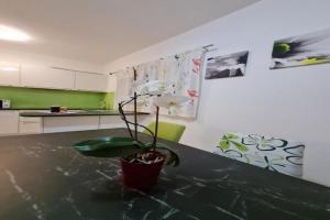 Luxury apartment Ani - Three Bedroom Apartment with terrace and Swimming pool