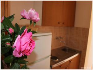 Apartments Juras - Studio Apartment with Sea View Mia