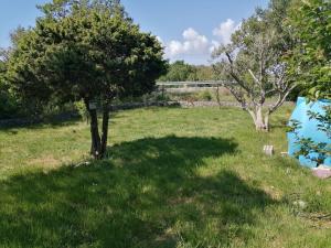 One Bedroom Apartment with Terrace