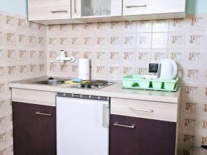 Apartments eljka - Studio Apartment with Terrace 3