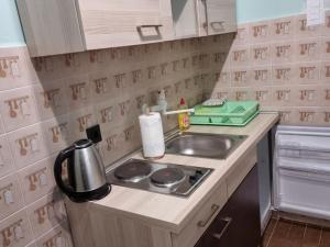 Apartments eljka - Studio Apartment with Terrace and a sea view 1