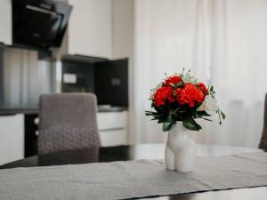 Modern Seget Vranjica Apartment with Terrace - Two Bedroom Apartment with Terrace