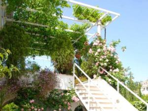 Villa Mediterranea - Studio with Sea View