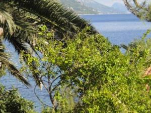 Seafront Apartments Pretner - Studio Apartment with Balcony and Sea View