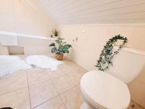 Apartments Villa Mavi-Two Bedroom Apartment with Mountain View A3
