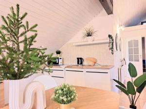 Apartments Villa Mavi-Two Bedroom Apartment with Mountain View A3