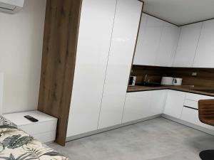 Luxury Apartments Villa Aspira - Studio Apartment with Terrace