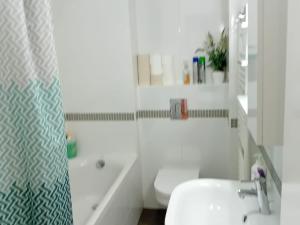 Apartments Cankareva