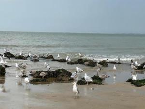 Studio in Knokke-Heist near the Beach