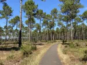 Villas Villa in Montauroux with Pool & Near Forest : photos des chambres