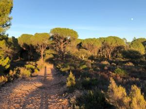 Maisons de vacances Villa in Vidauban near Vineyards & Beaches : photos des chambres