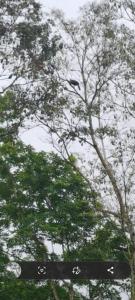 Hospedaje Rio Celeste Katira, Habitación privada