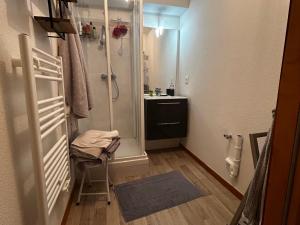 Appartements Appartement spacieux proche pistes avec parking prive - FR-1-498-116 : photos des chambres