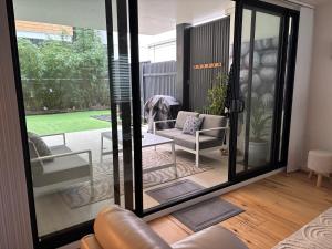 Sandy Paws and Salty Zoomies